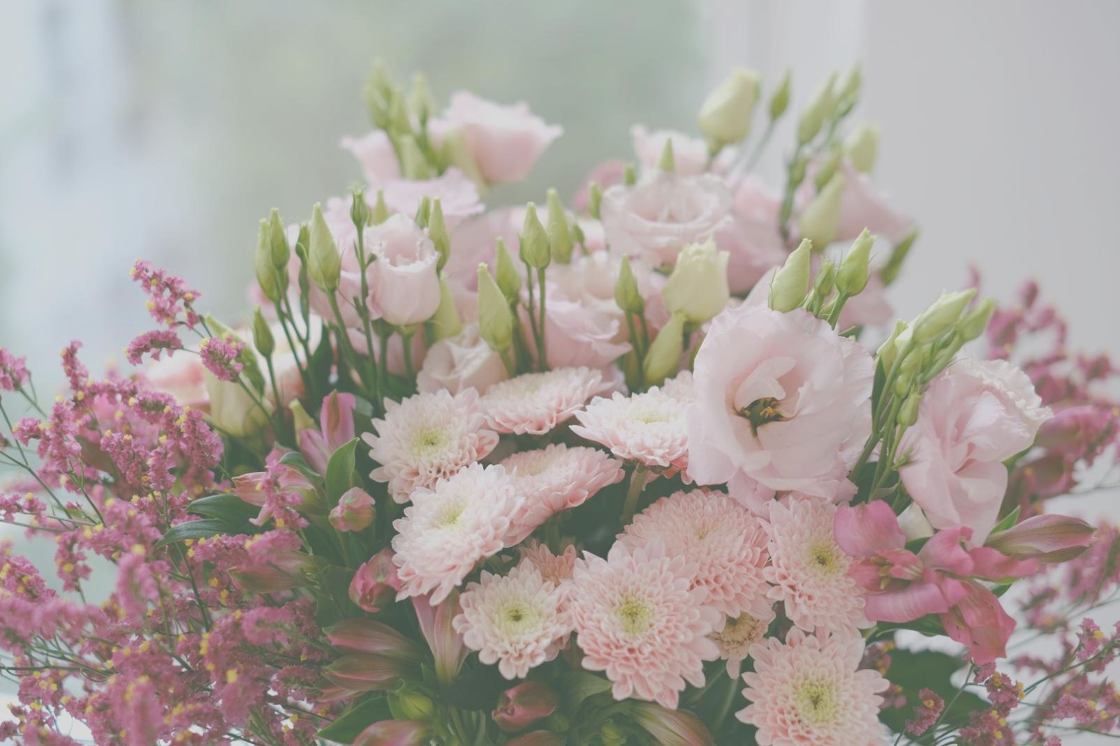 Übersicht über Blumenarten im Workshop