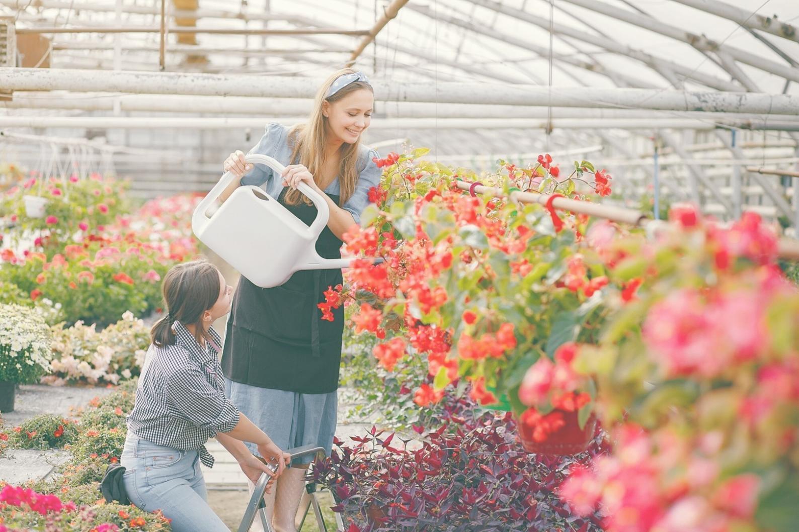 Online-Workshop Blumenauswahl