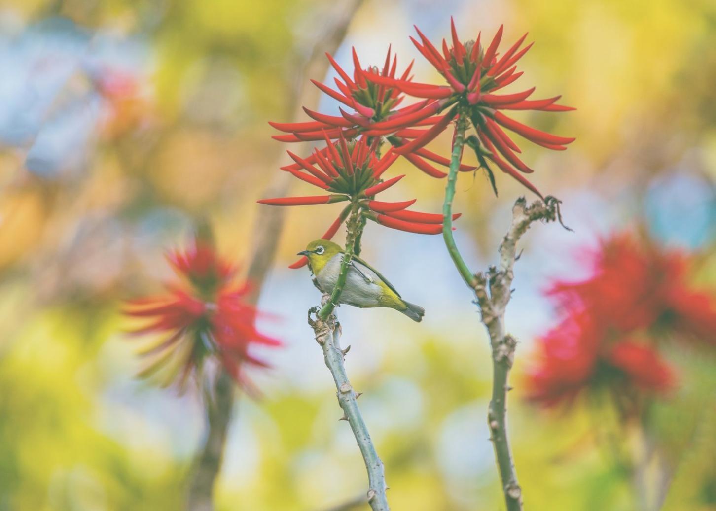 Blumenarrangement mit sorgfältig ausgewählten Blüten